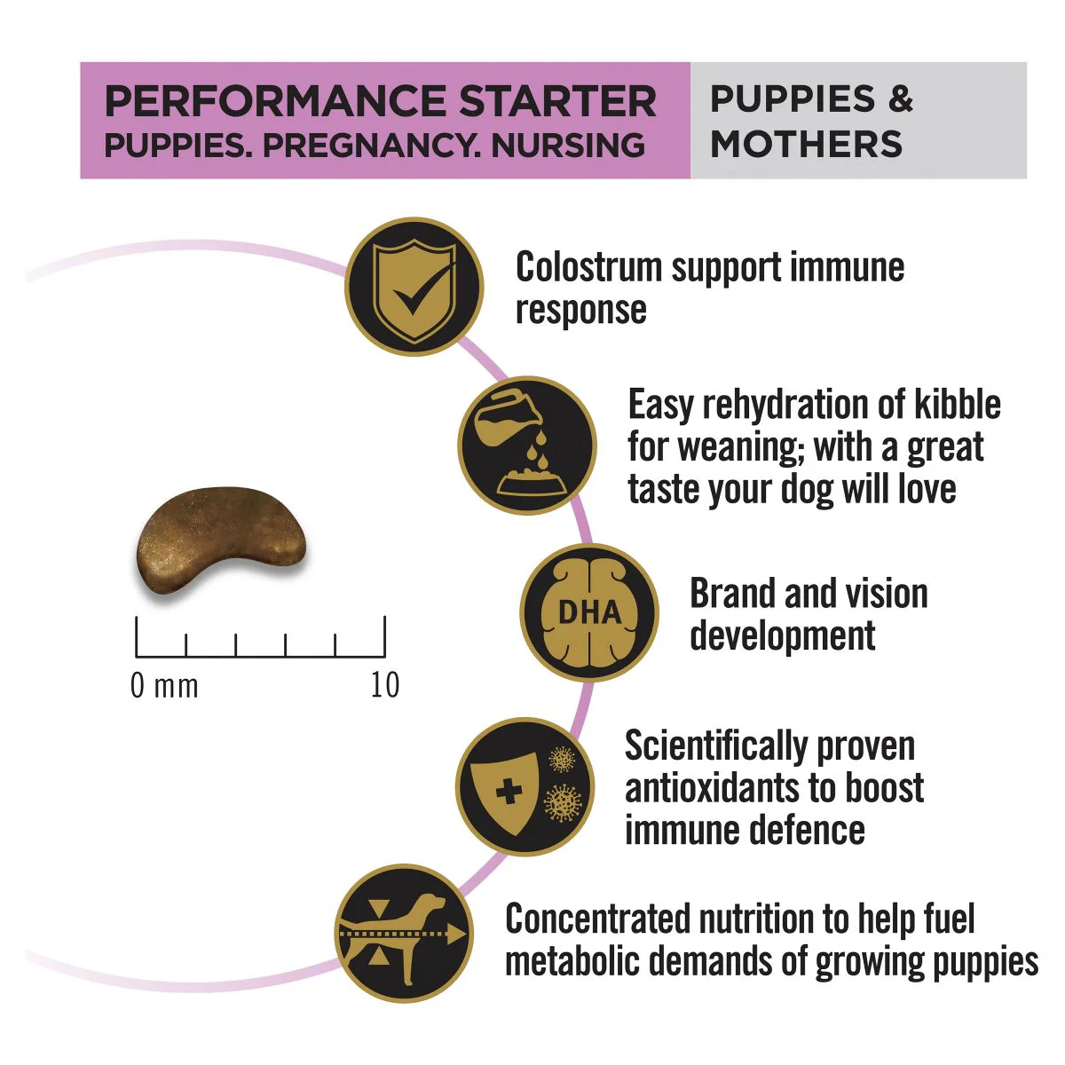 Pro Plan Performance Starter All Size Puppies & Mothers Chicken Formula Dry Dog Food - Image 14