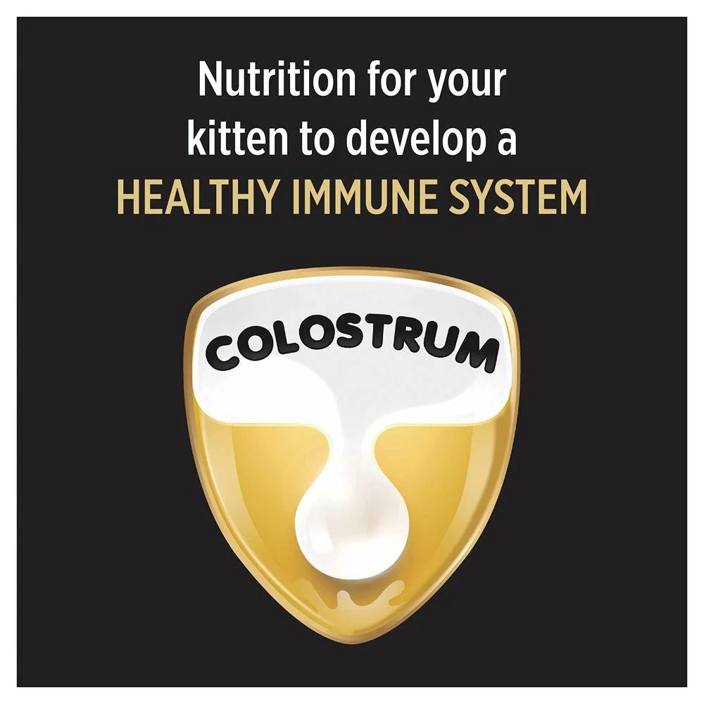 Pro Plan Kitten Dry Cat Food - Image 28