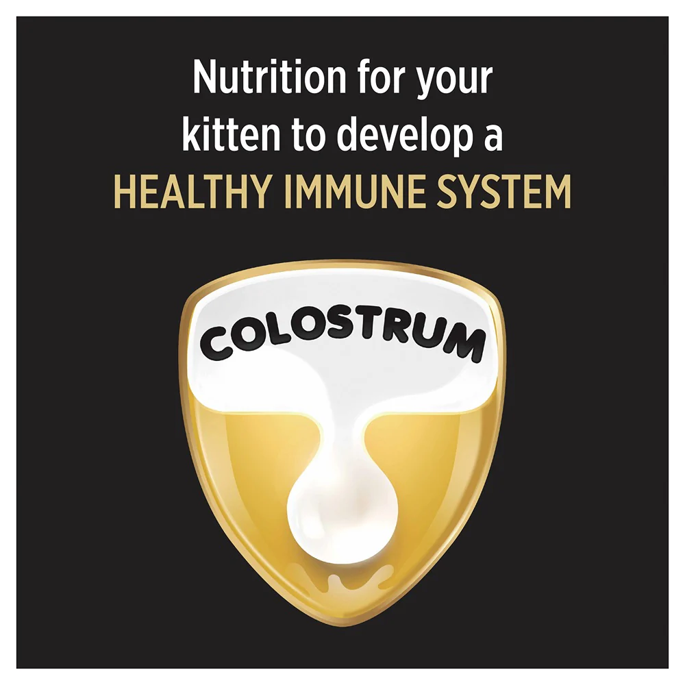 Pro Plan Kitten Dry Cat Food - Image 6