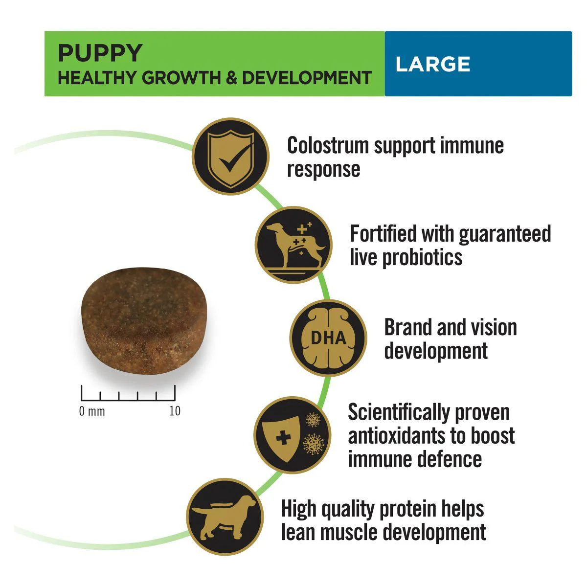 Pro Plan Large Breed Puppy Chicken Formula with Colostrum & Probiotic Dry Dog Food - Image 17