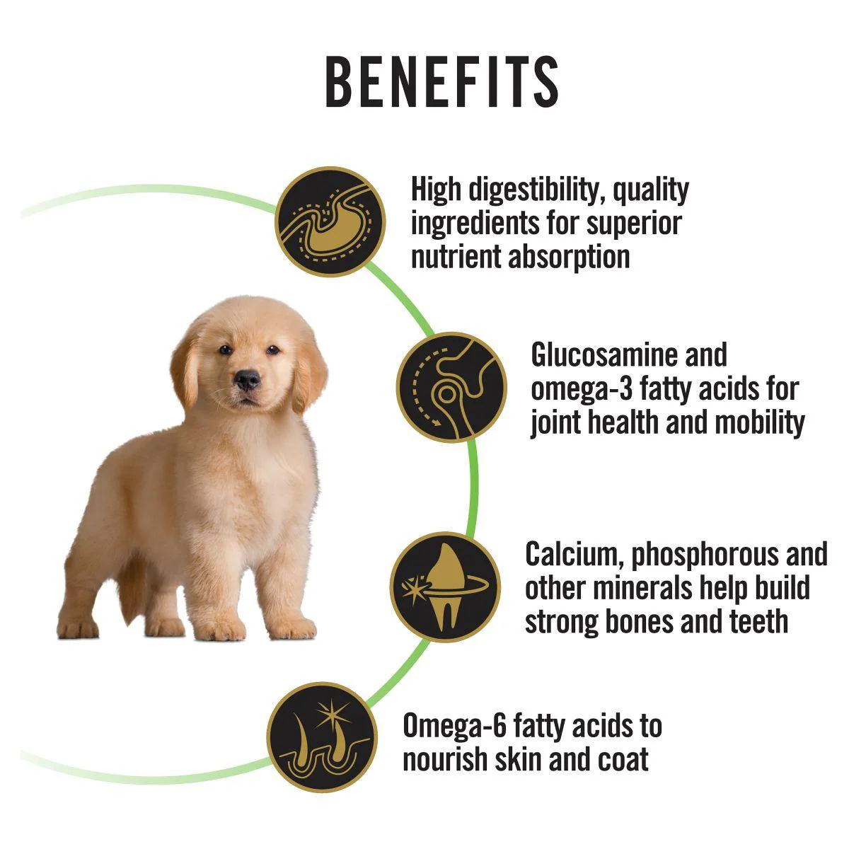 Pro Plan Large Breed Puppy Chicken Formula with Colostrum & Probiotic Dry Dog Food - Image 24