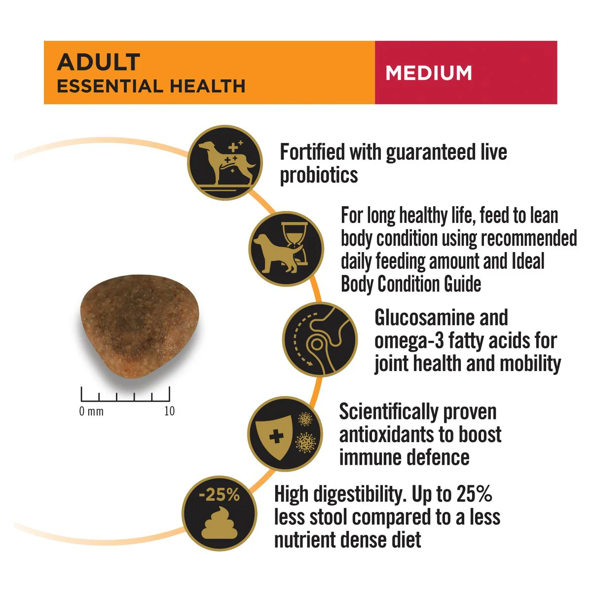 Pro Plan Medium Breed Adult Chicken Dry Dog Food - Image 17