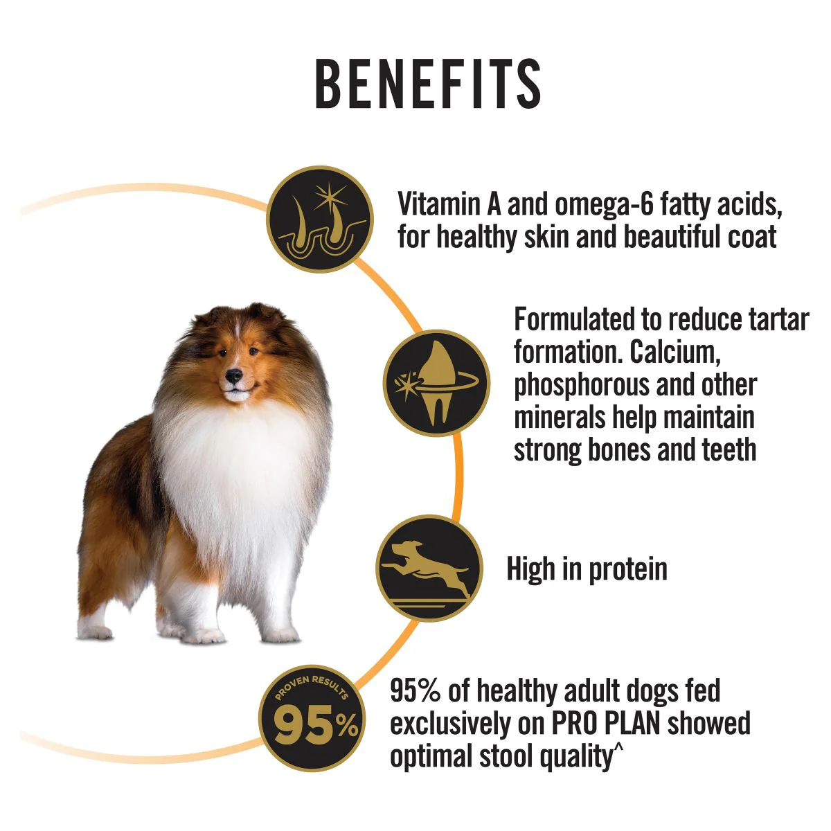 Pro Plan Medium Breed Adult Chicken Dry Dog Food - Image 7