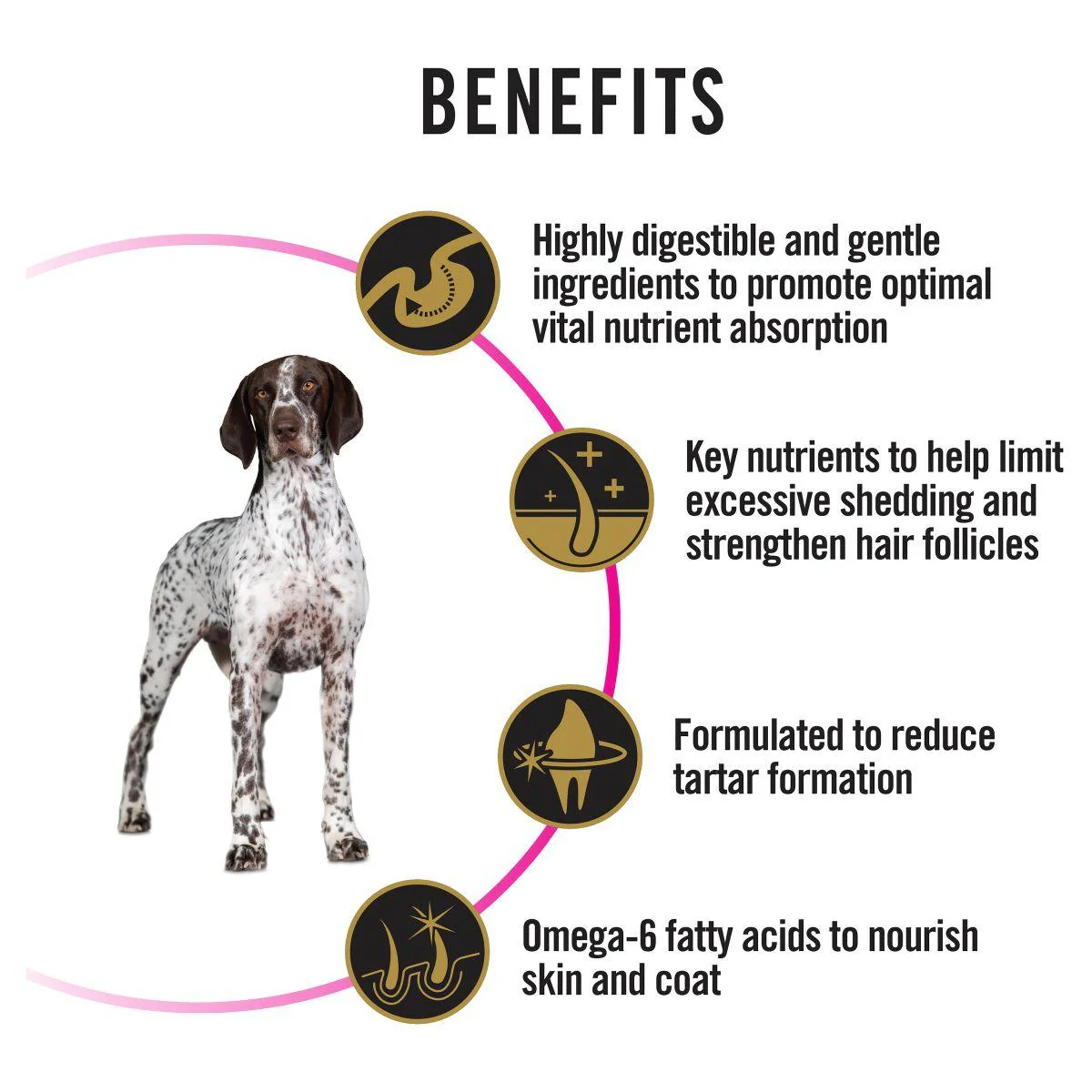 Pro Plan Sensitive Skin & Stomach Medium & Large Breed Adult Dry Dog Food - Image 23