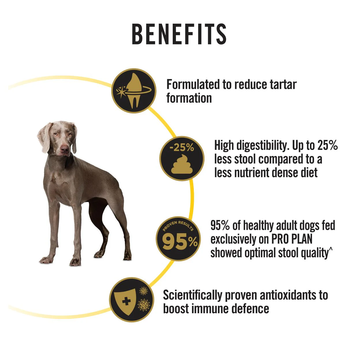 Pro Plan Bright Mind Medium & Large Breed Adult 7+ Chicken Dry Dog Food 12kg - Image 7