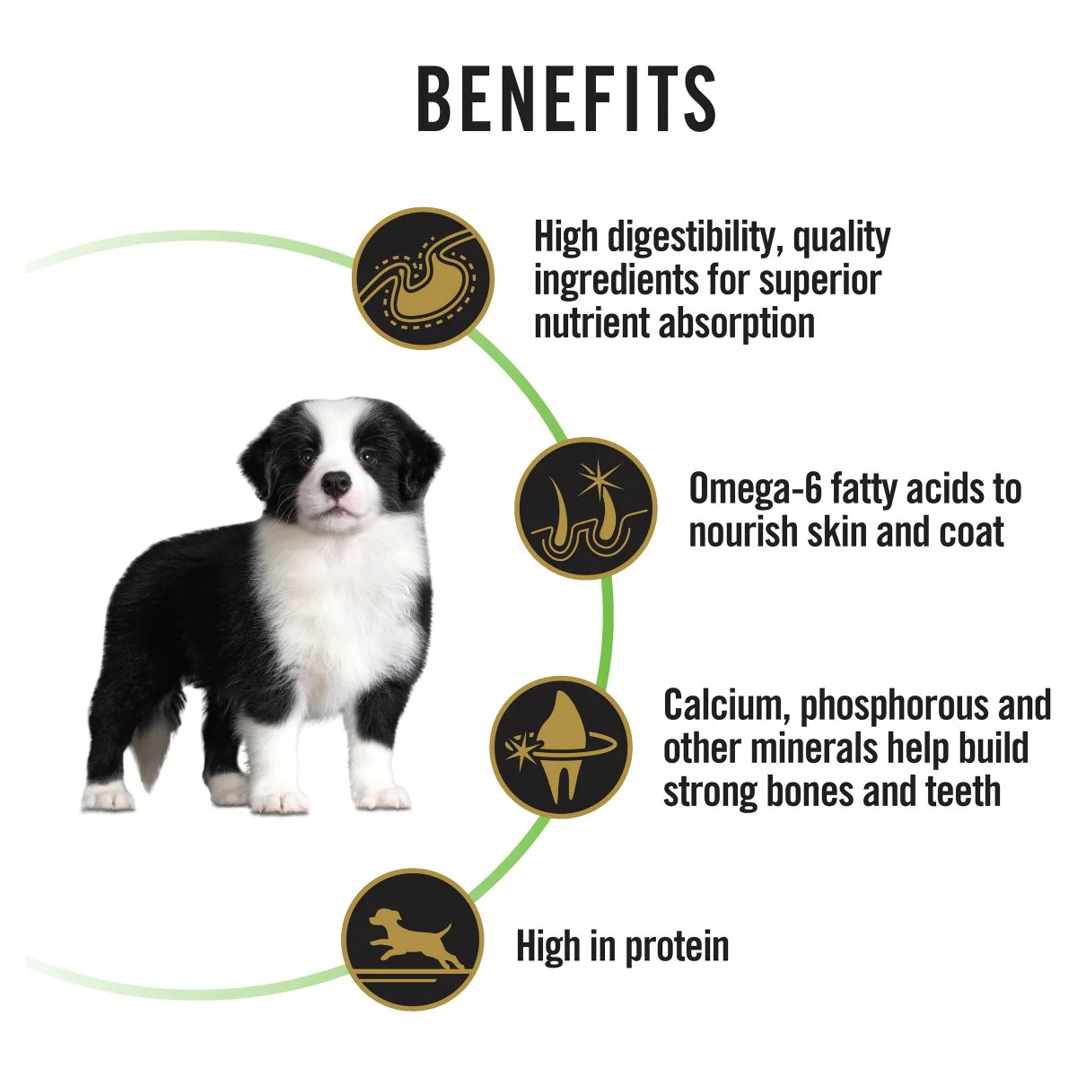 Pro Plan Medium Puppy Chicken Dry Dog Food - Image 7