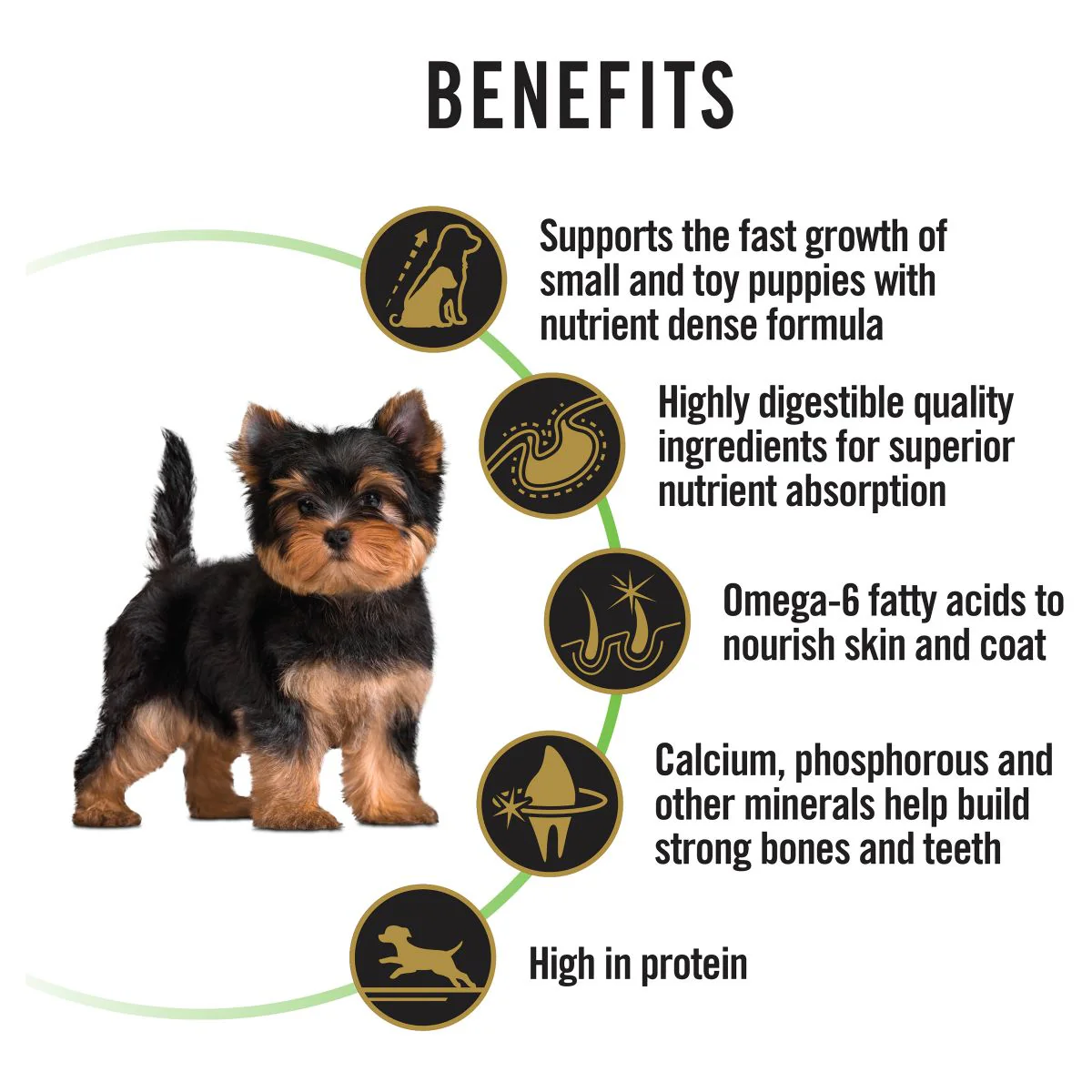 Pro Plan Small & Toy Puppy Chicken Dry Dog Food 2.5kg - Image 17