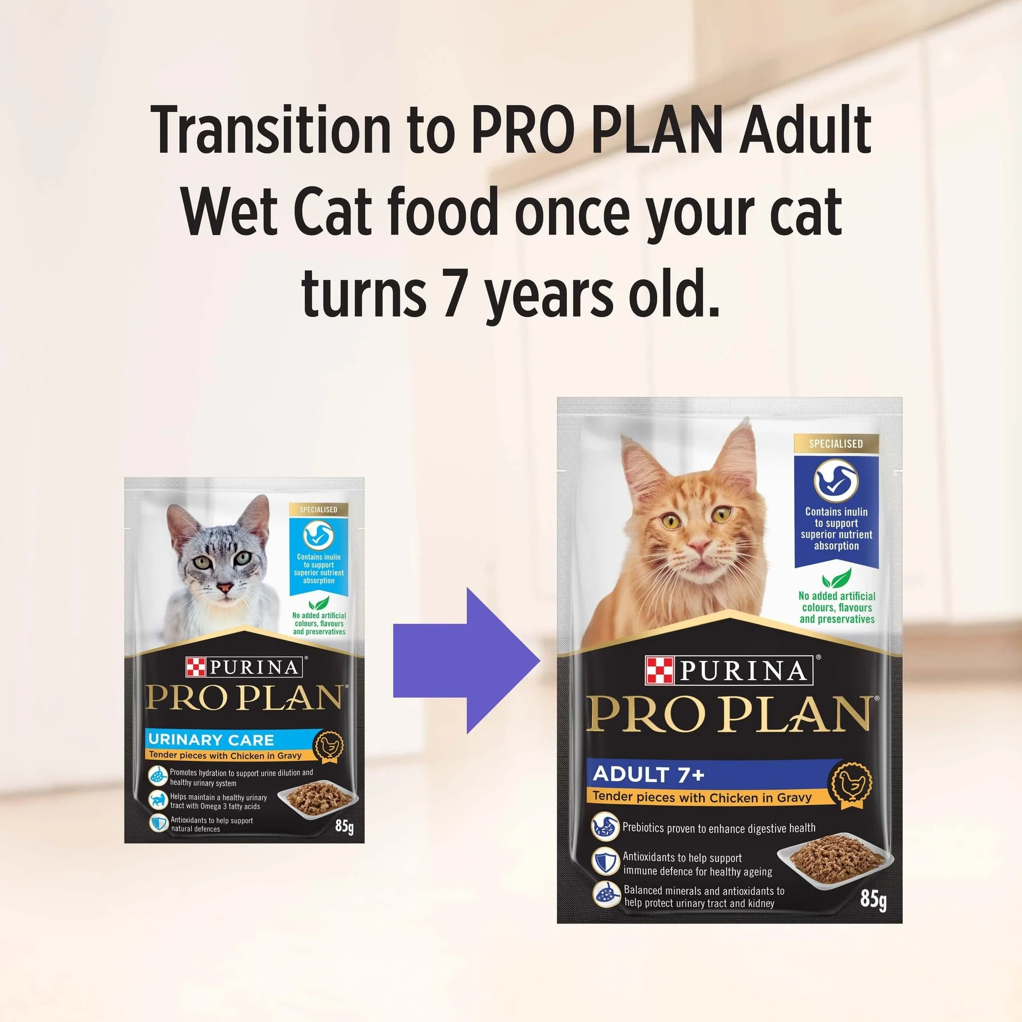 Pro Plan Urinary Tract Health Adult Chicken Gravy Pouch Wet Cat Food 85G - Image 16