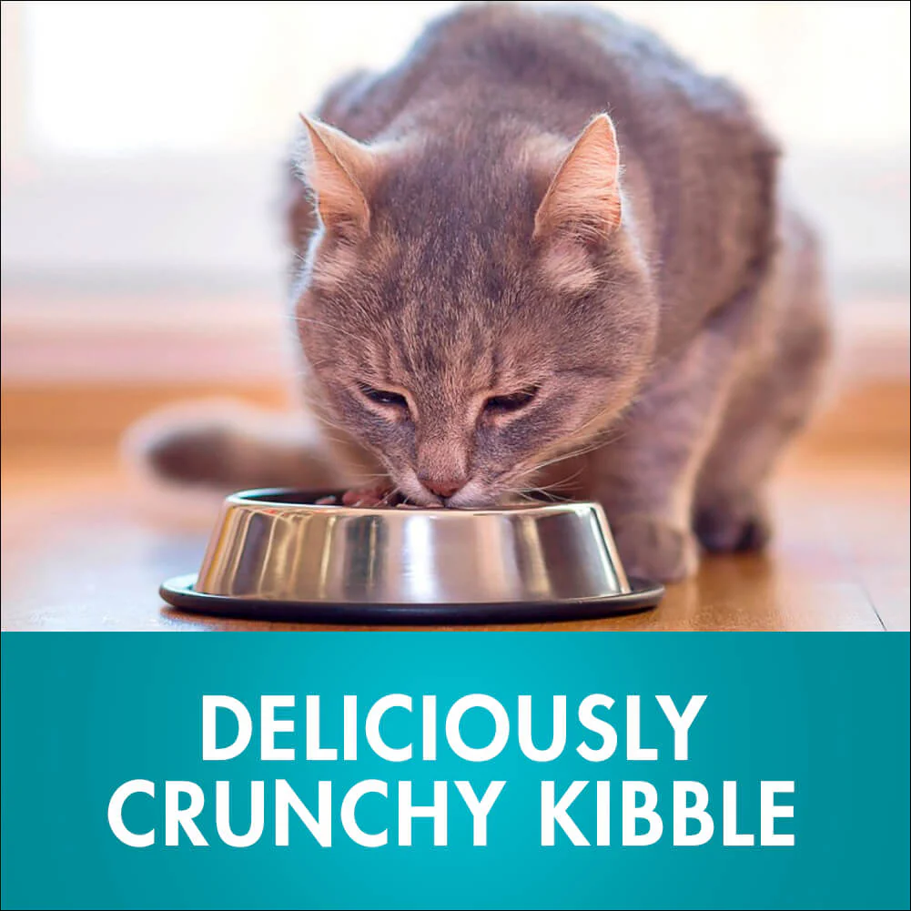 Purina One Indoor Advantage Chicken Adult Dry Cat Food - Image 8