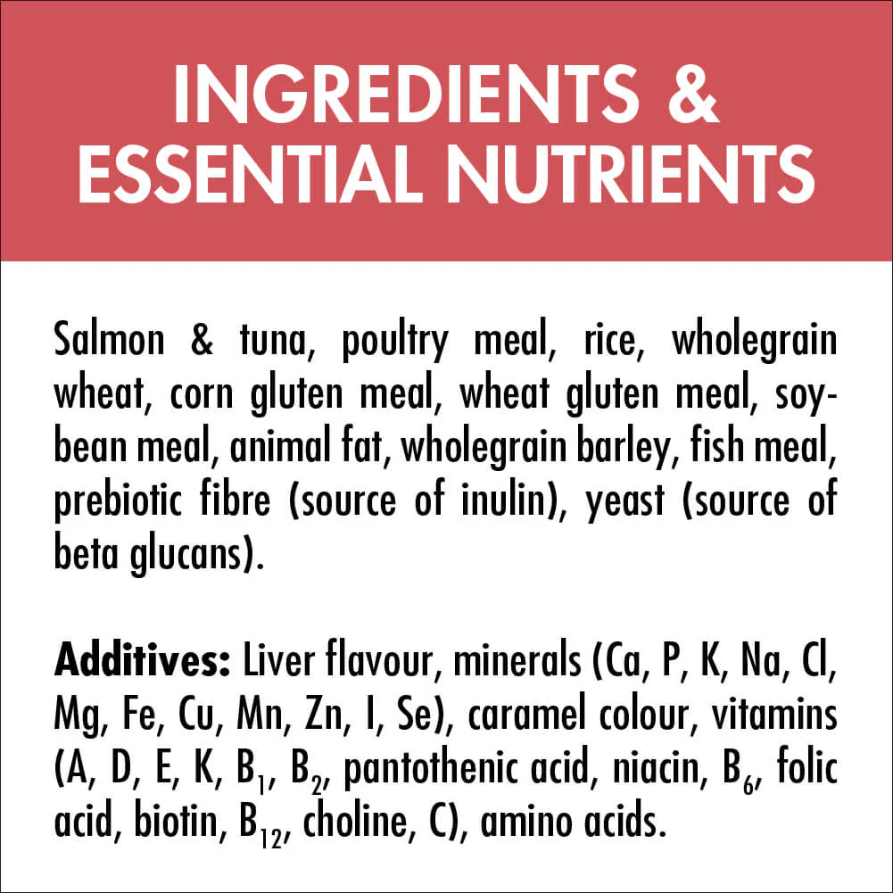 Purina One Adult Salmon and Tuna Dry Cat Food - Image 15