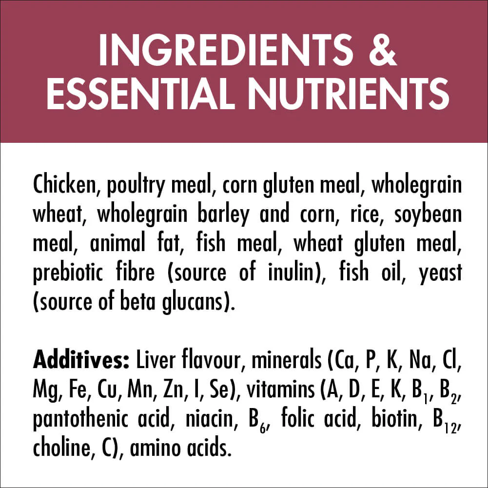 Purina One Adult Urinary Care Chicken Dry Cat Food - Image 3