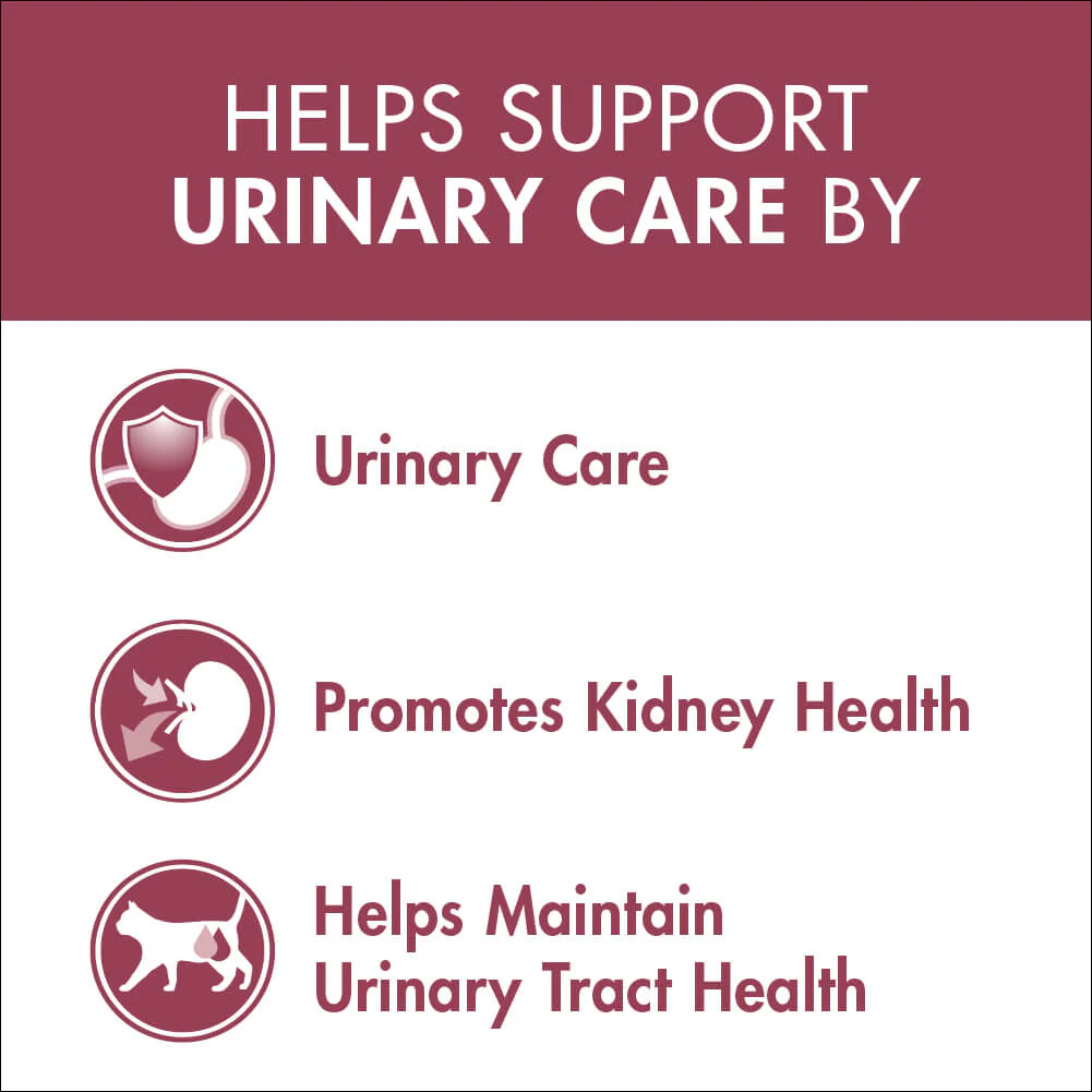 Purina One Adult Urinary Care Chicken Dry Cat Food - Image 4