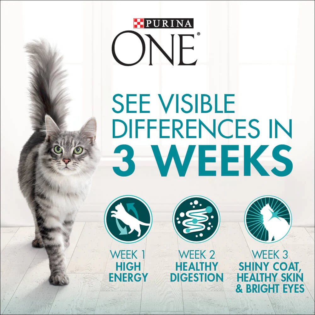 Purina One Adult Urinary Care Chicken Dry Cat Food - Image 8