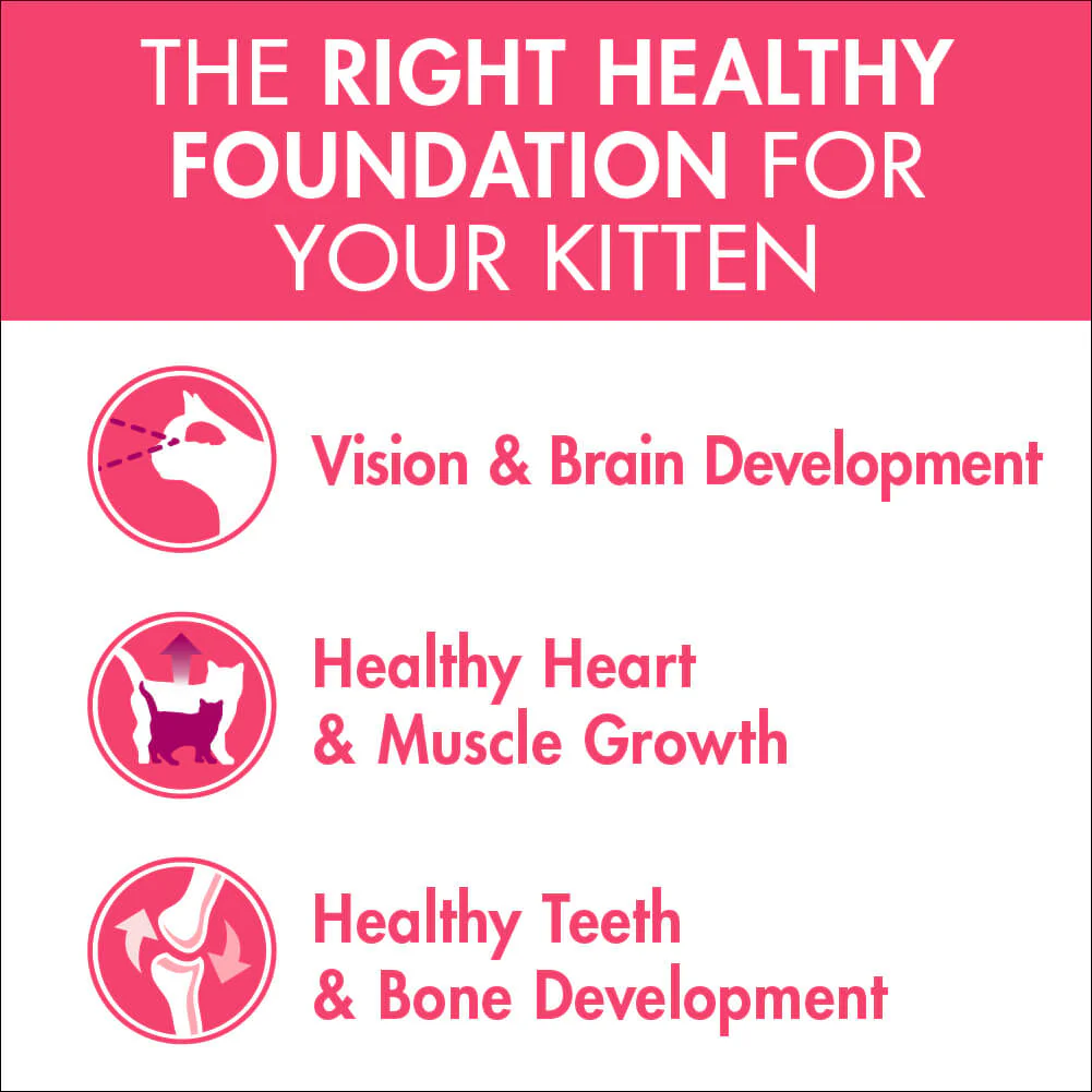 Purina One Kitten Chicken Dry Cat Food 1.4Kg - Image 4