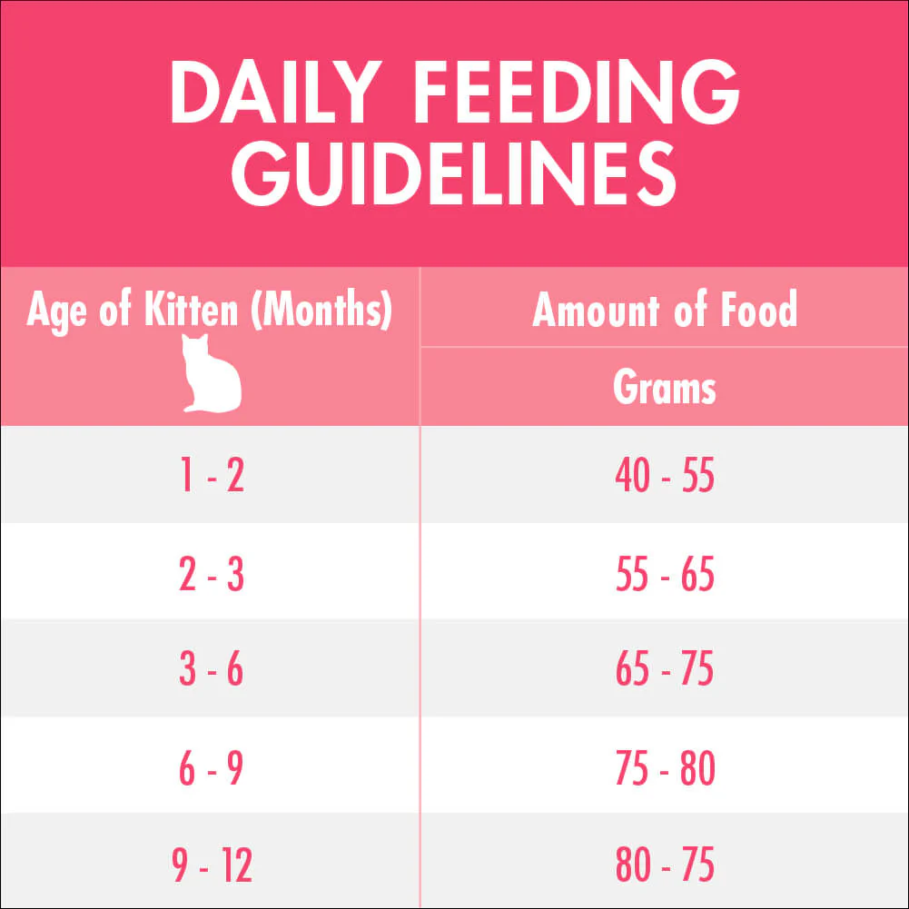 Purina One Kitten Chicken Dry Cat Food 1.4Kg - Image 5