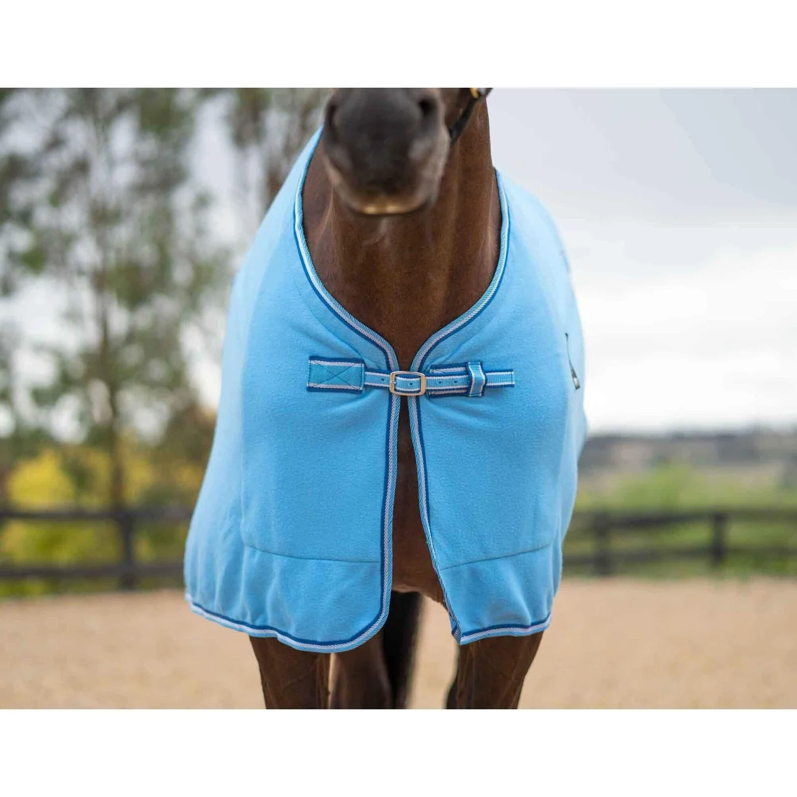 Kingsley Polar Fleece Rug - Image 18