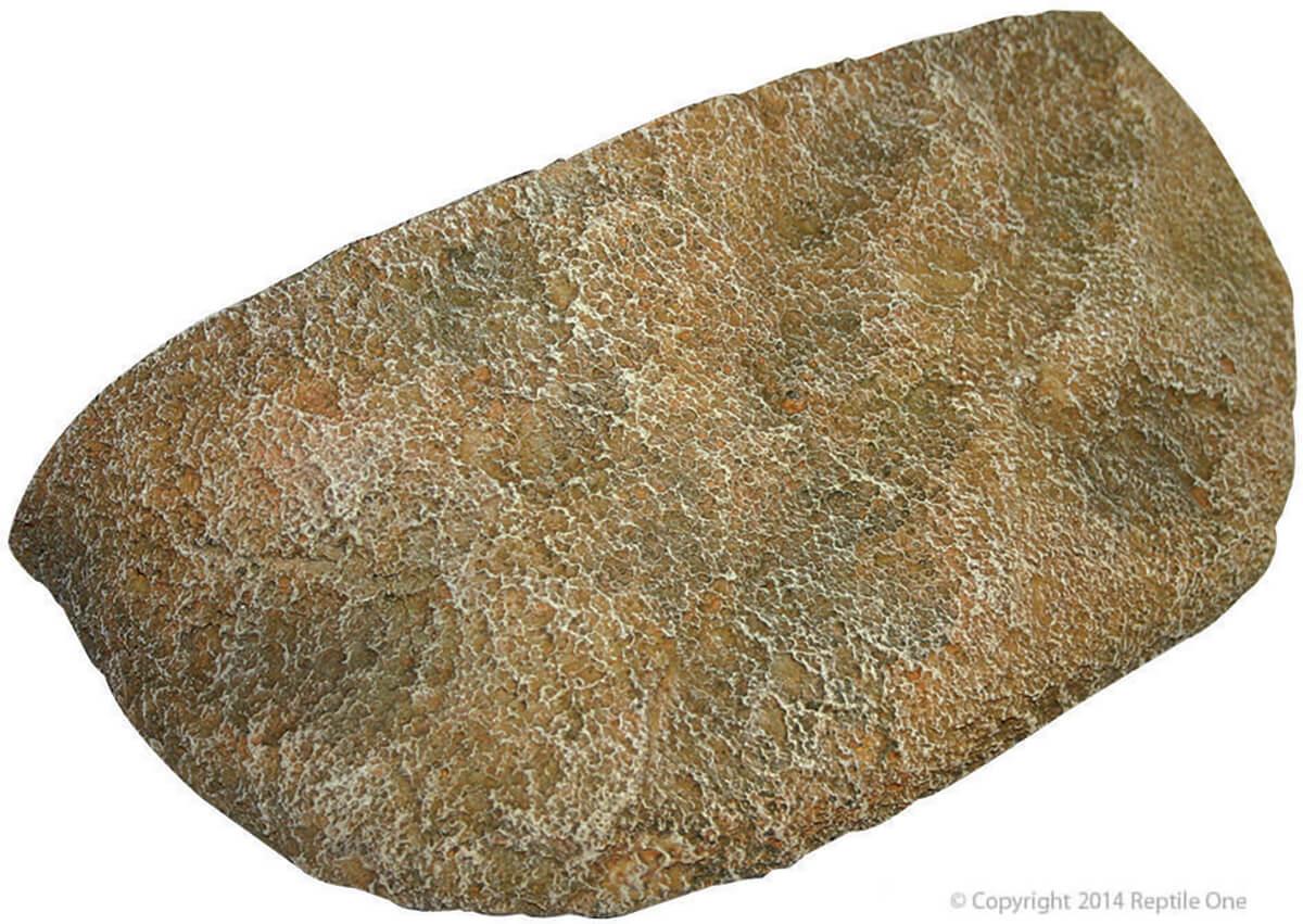 Reptile One Climbing Ledge Dyno Oneck Small - Image 2