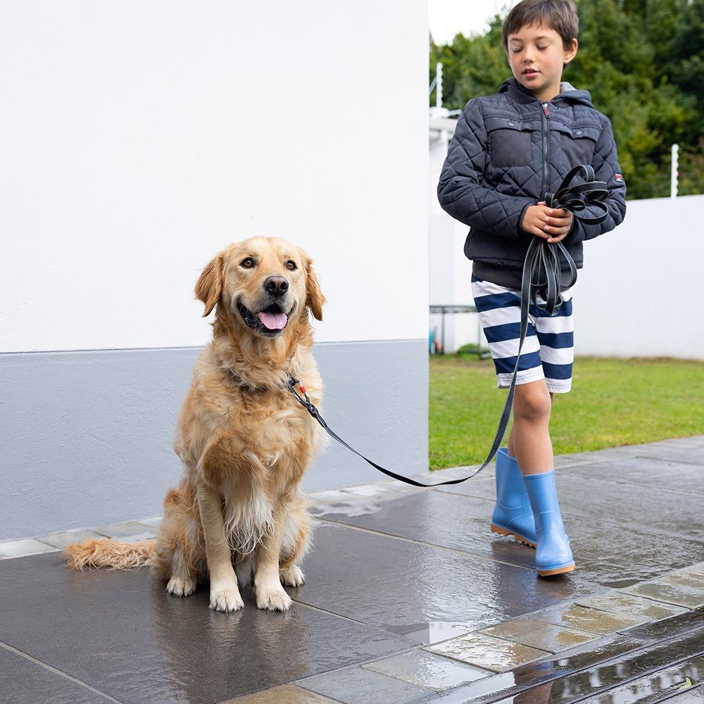 Rogz Amphibian Dog Training Line - Image 2