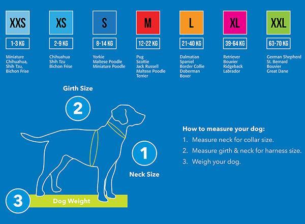 Rogz Utility Control Chain Dog Collar - Image 23