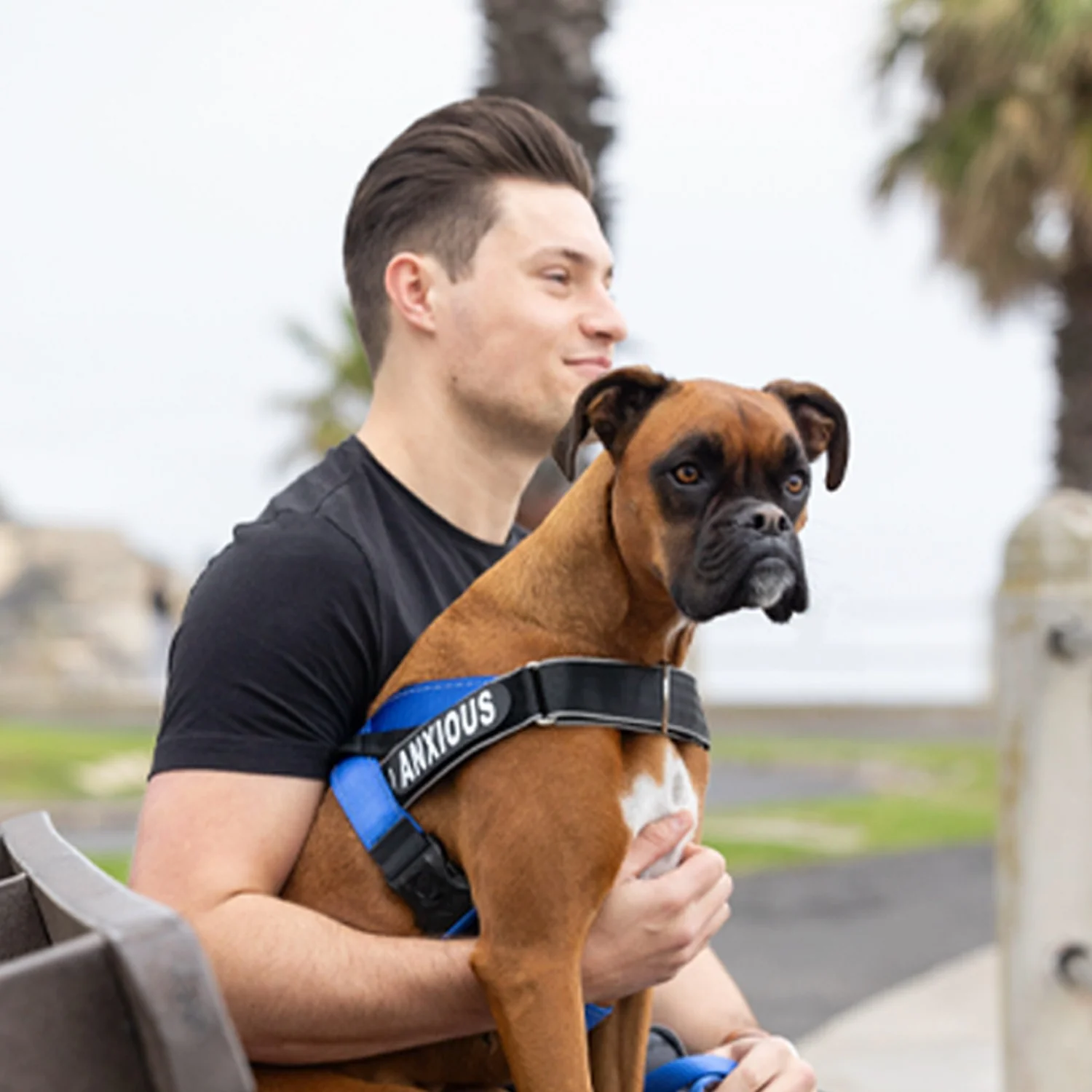 Rogz Personalised Pre-Made Badge Small - Image 56