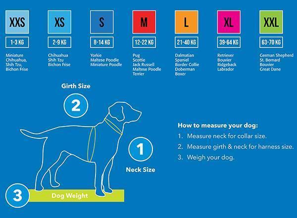 Rogz Specialty Fast Fit Dog Harness - Image 2