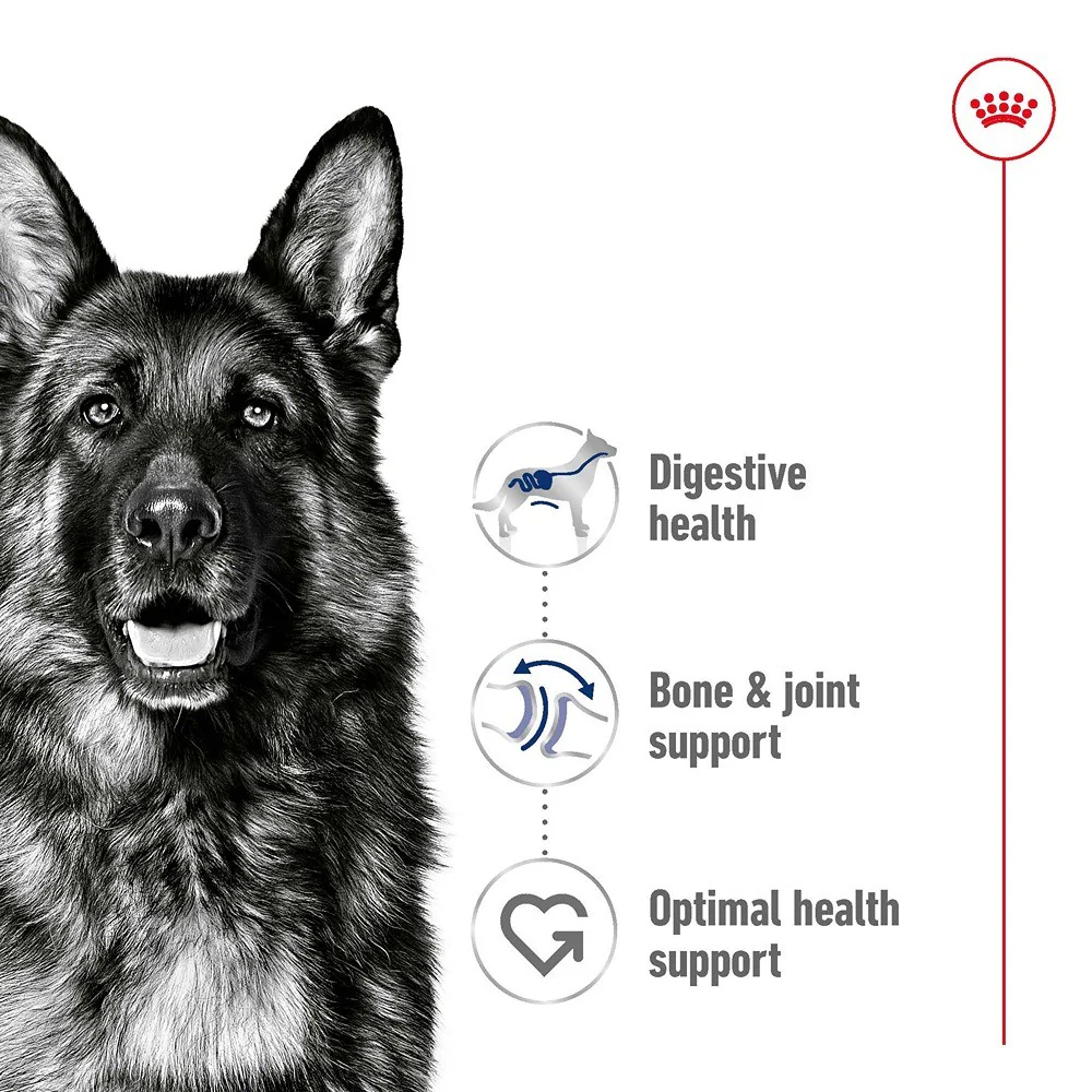 Royal Canin Adult Maxi Loaf Wet Dog Food - Image 3