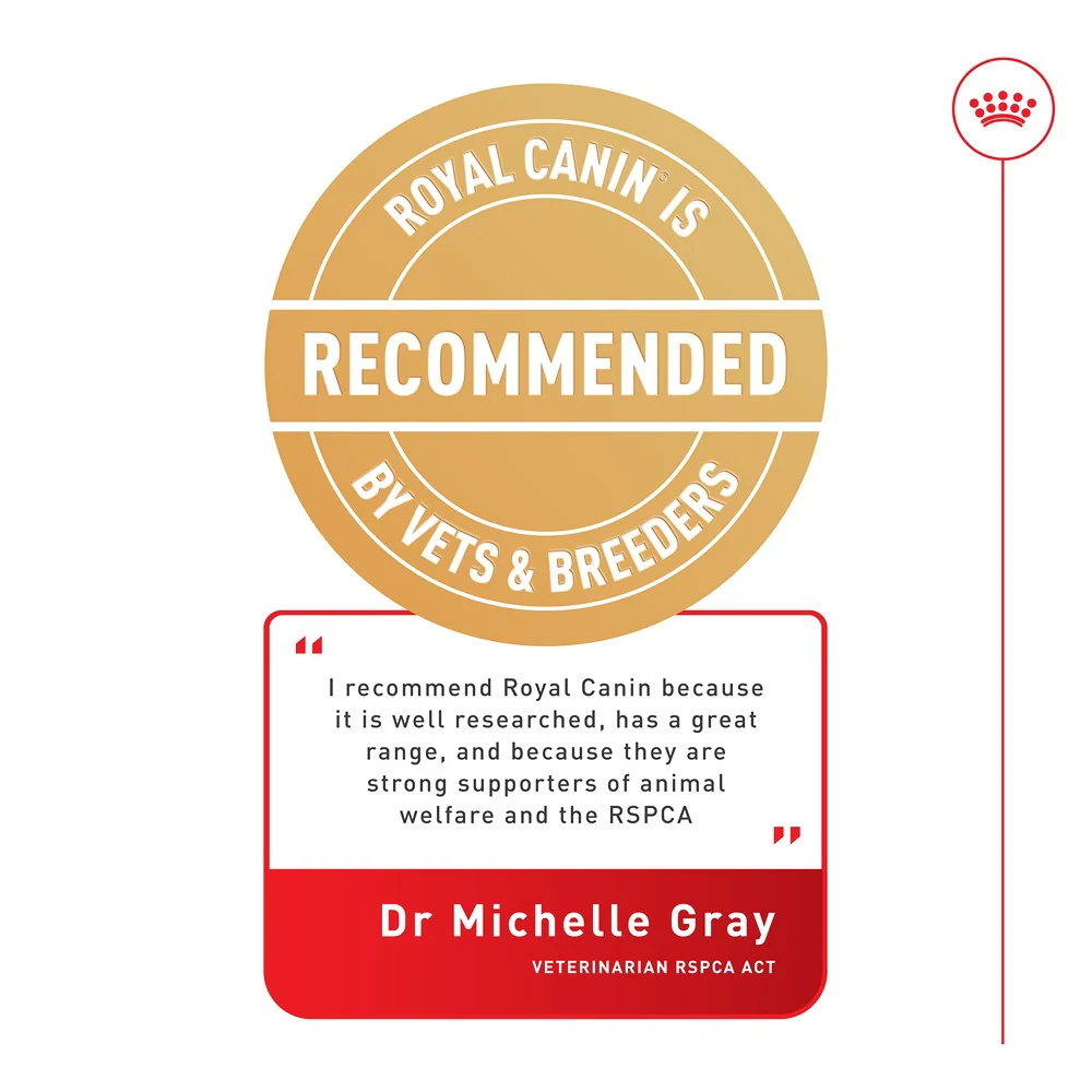 Royal Canin Adult Medium Loaf Wet Dog Food - Image 13