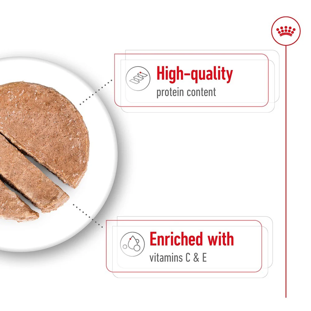 Royal Canin Adult Medium Loaf Wet Dog Food - Image 5