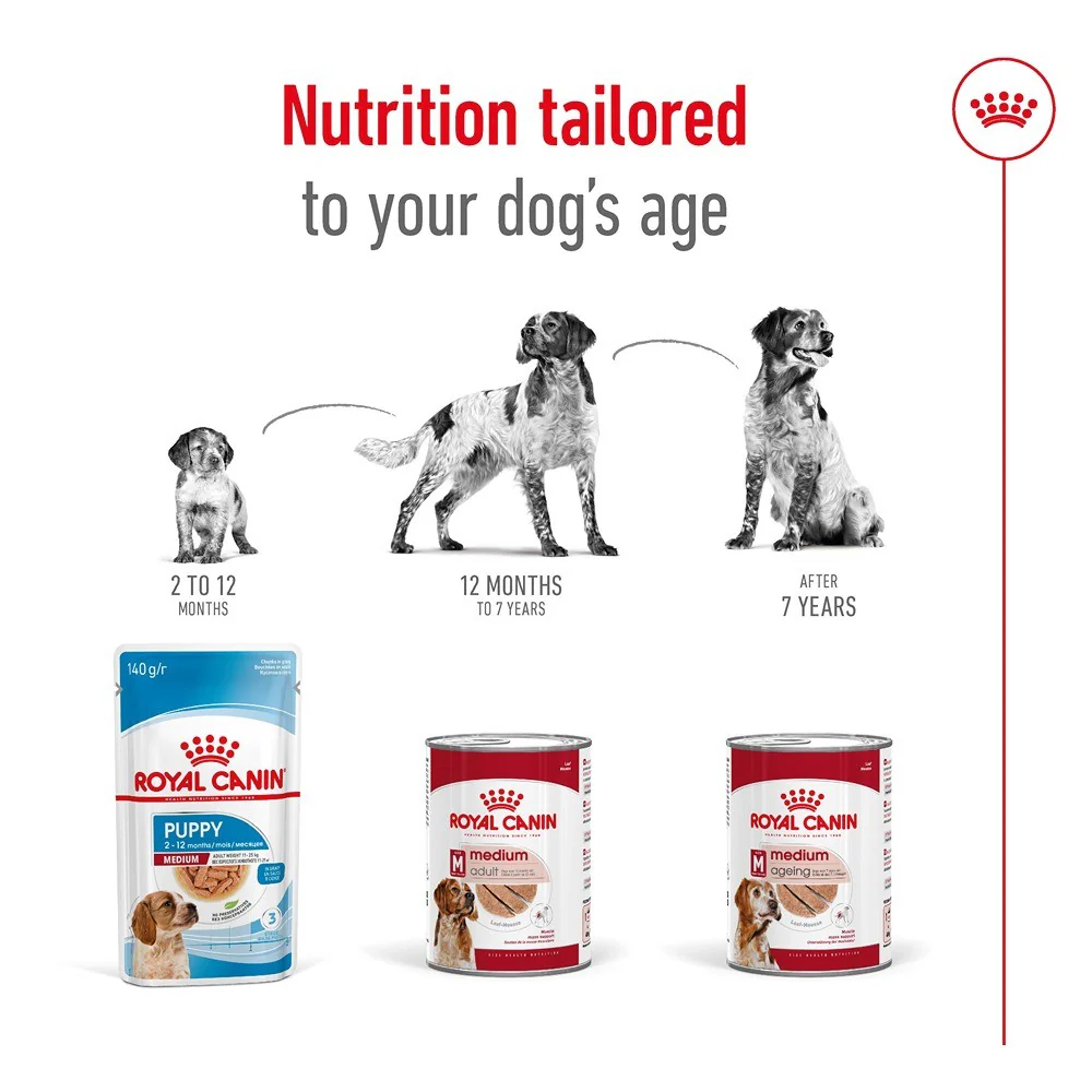 Royal Canin Adult Medium Loaf Wet Dog Food - Image 8