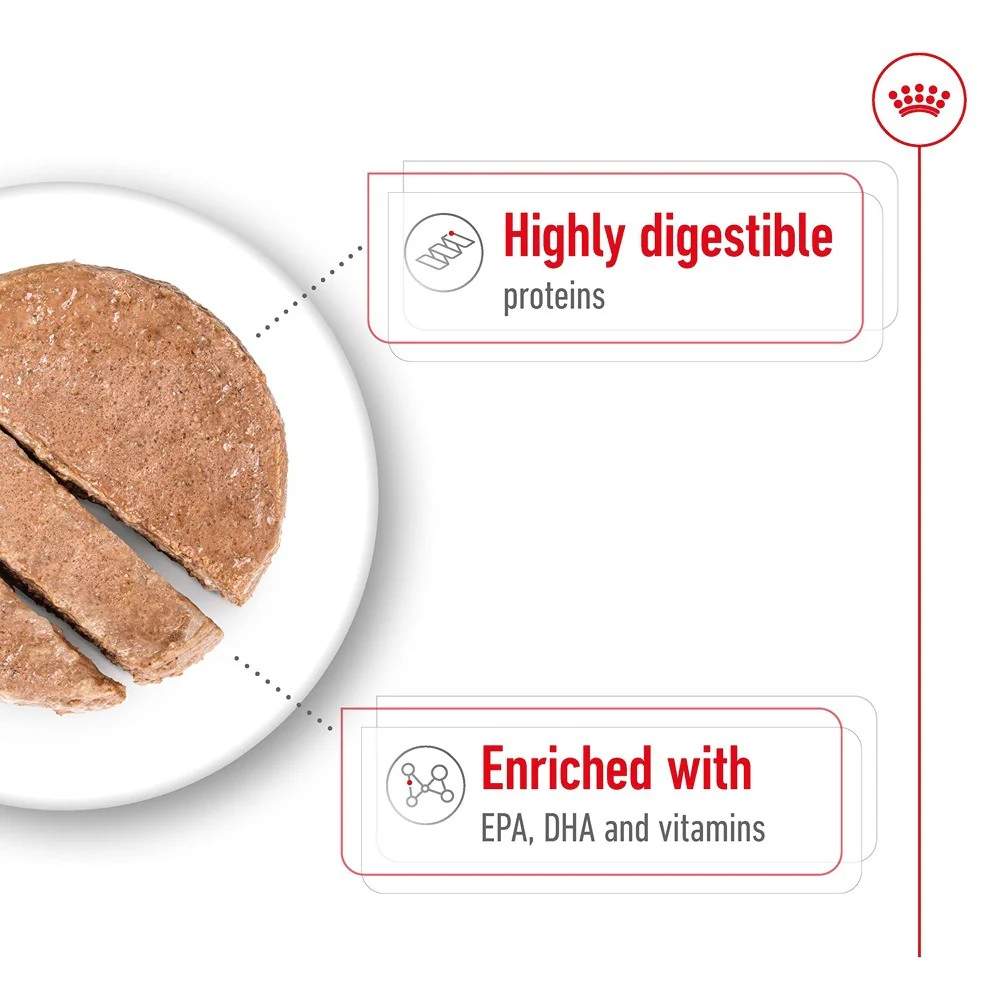 Royal Canin Ageing Maxi Loaf Wet Dog Food - Image 5