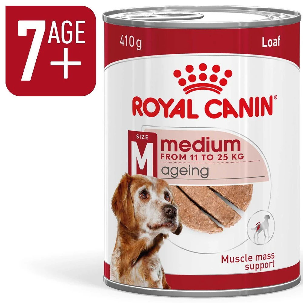 Royal Canin Ageing Medium Loaf Wet Dog Food - Image 15