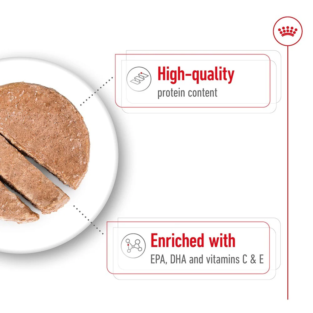Royal Canin Ageing Medium Loaf Wet Dog Food - Image 6