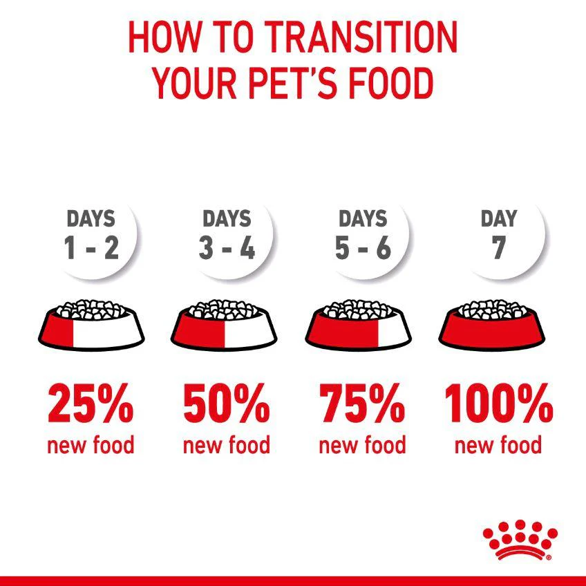 Royal Canin Appetite Control Adult Dry Cat Food - Image 18