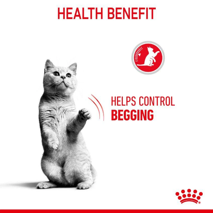 Royal Canin Appetite Control Adult Dry Cat Food - Image 7