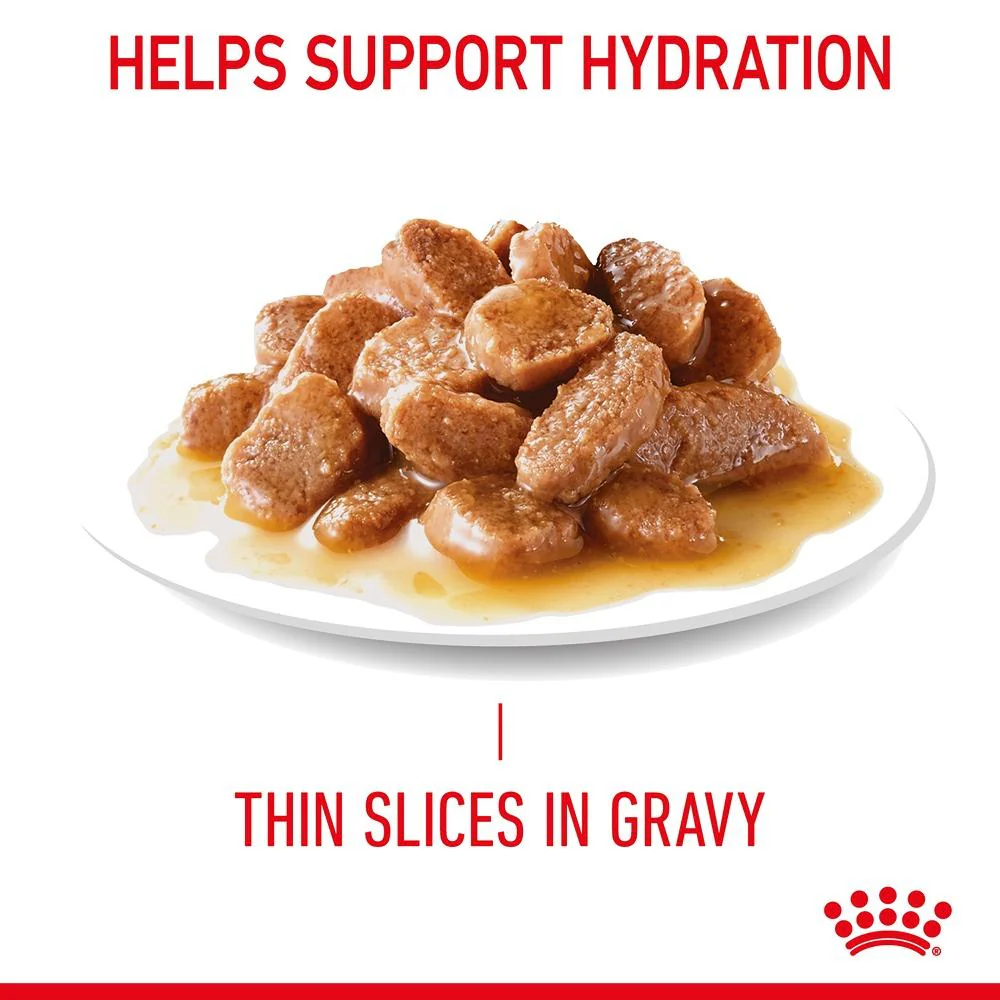 Royal Canin Appetite Control Gravy Adult Wet Cat Food Pouches - Image 16