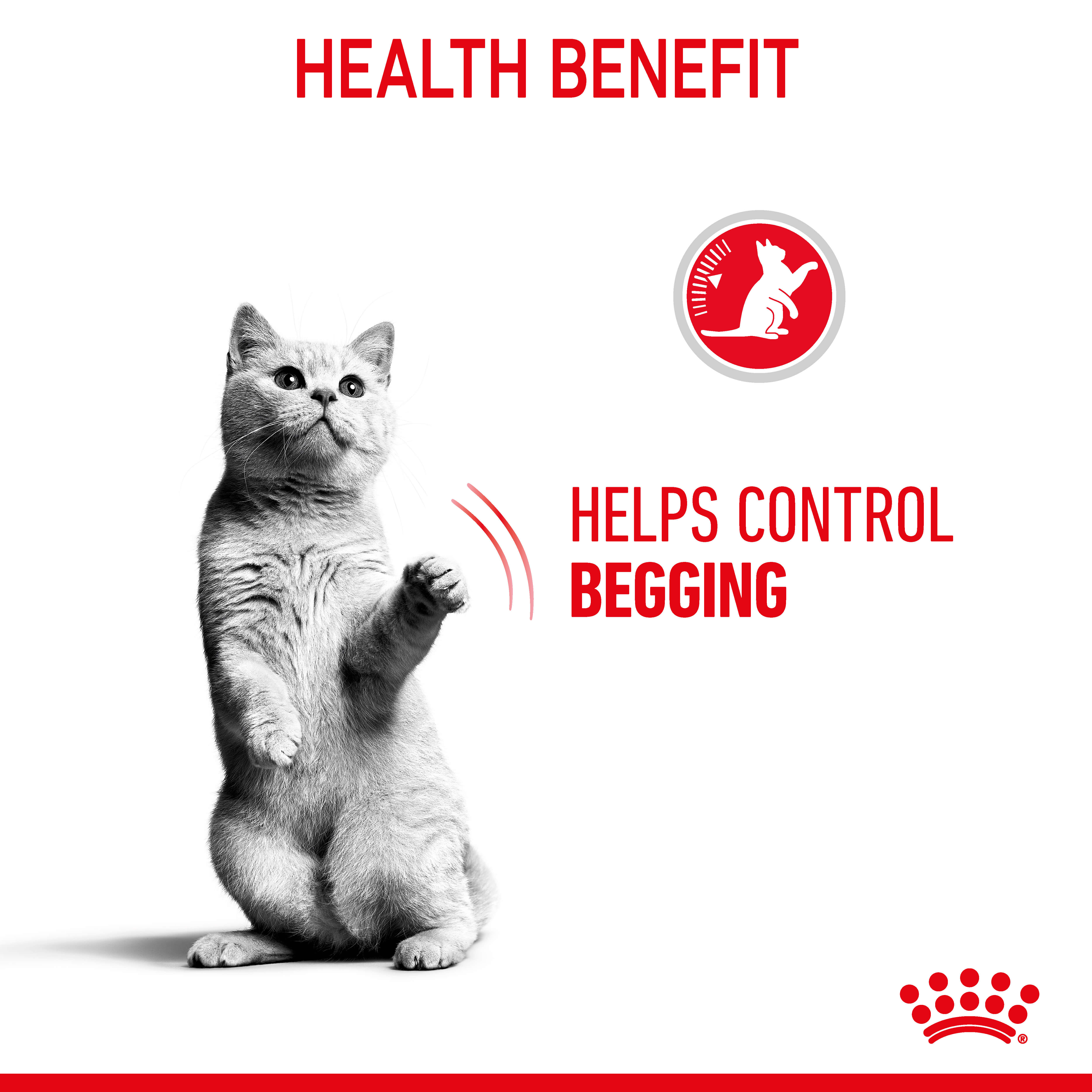 Royal Canin Appetite Control Gravy Adult Wet Cat Food Pouches - Image 4