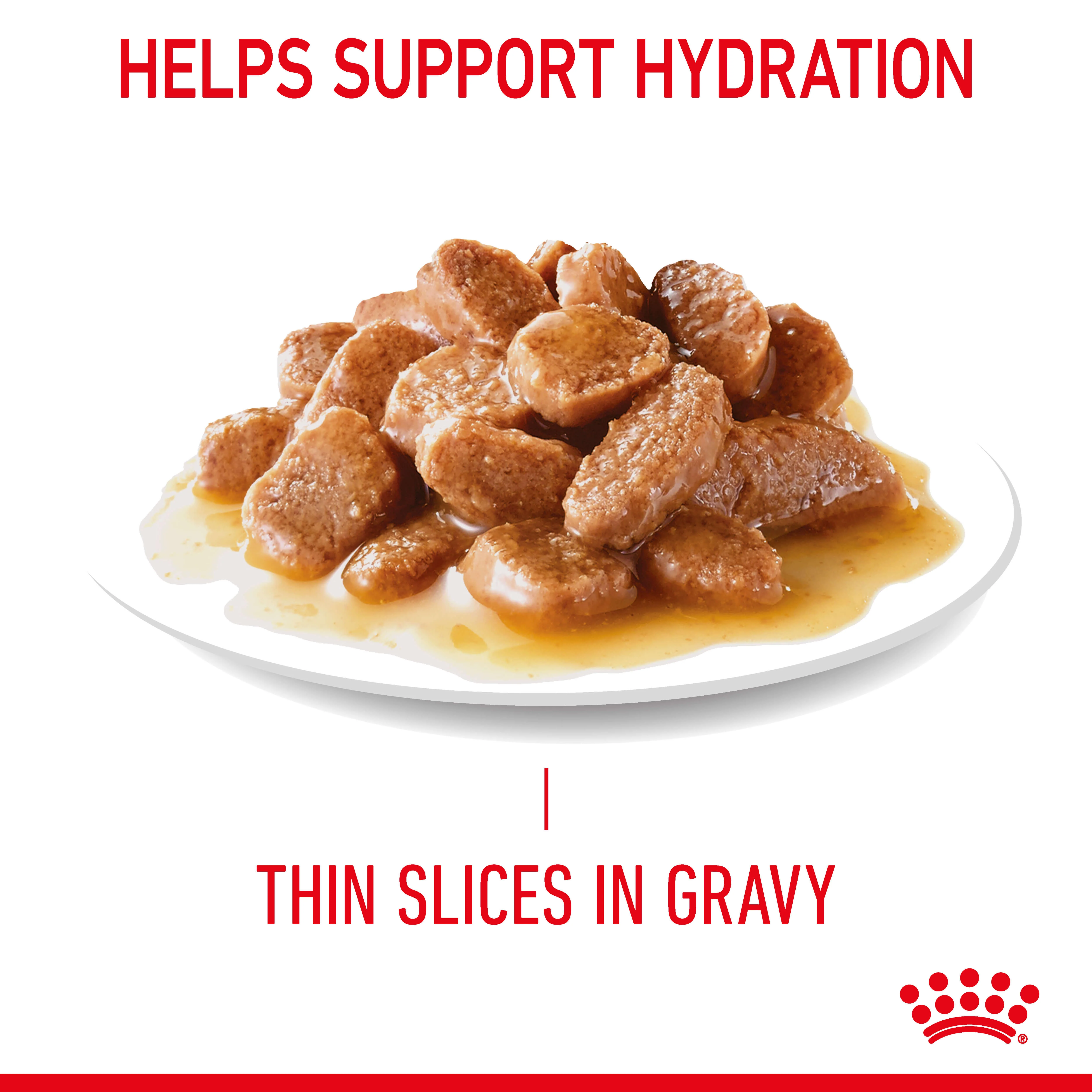 Royal Canin Appetite Control Gravy Adult Wet Cat Food Pouches - Image 5