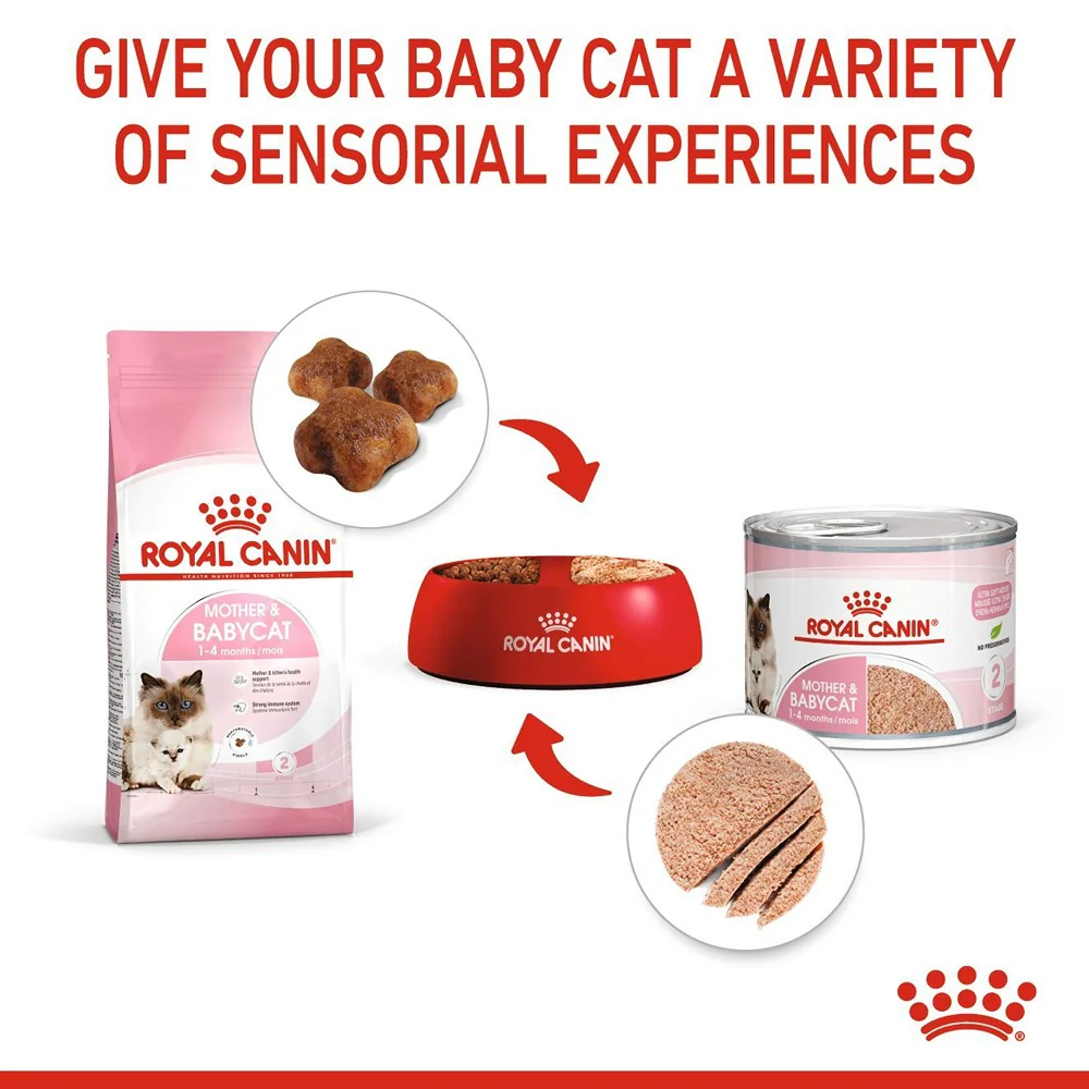 Royal Canin Babycat Instinctive Kitten Wet Cat Food - Image 5