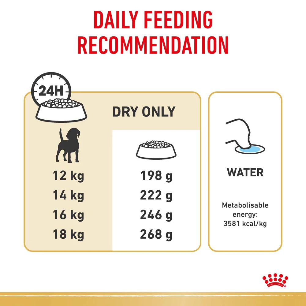 Royal Canin Beagle Adult Dry Dog Food - Image 5