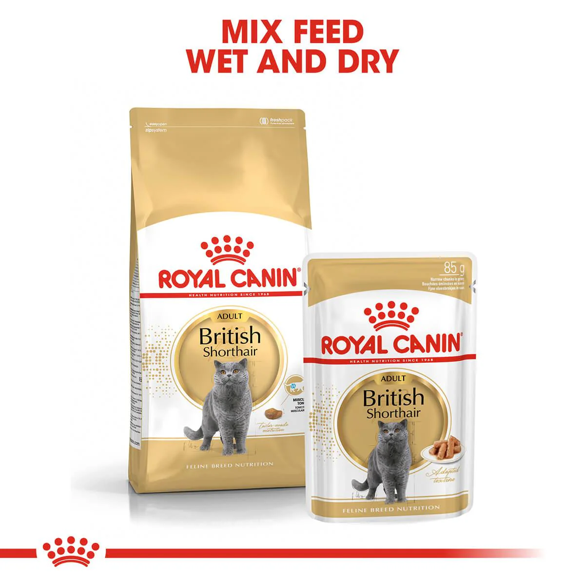 Royal Canin British Shorthair Adult Dry Cat Food - Image 5