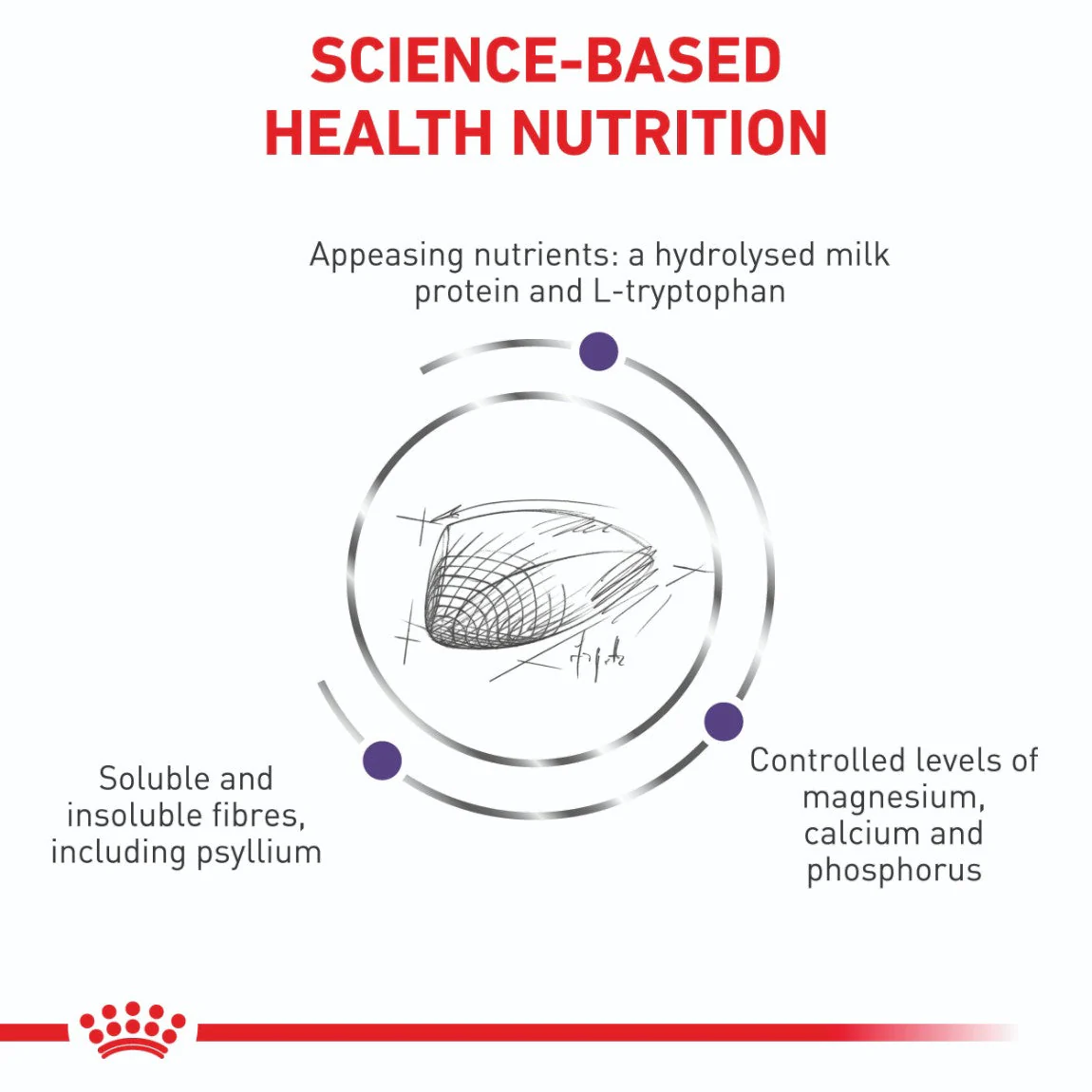 Royal Canin Expert Calm Dry Cat Food - Image 6