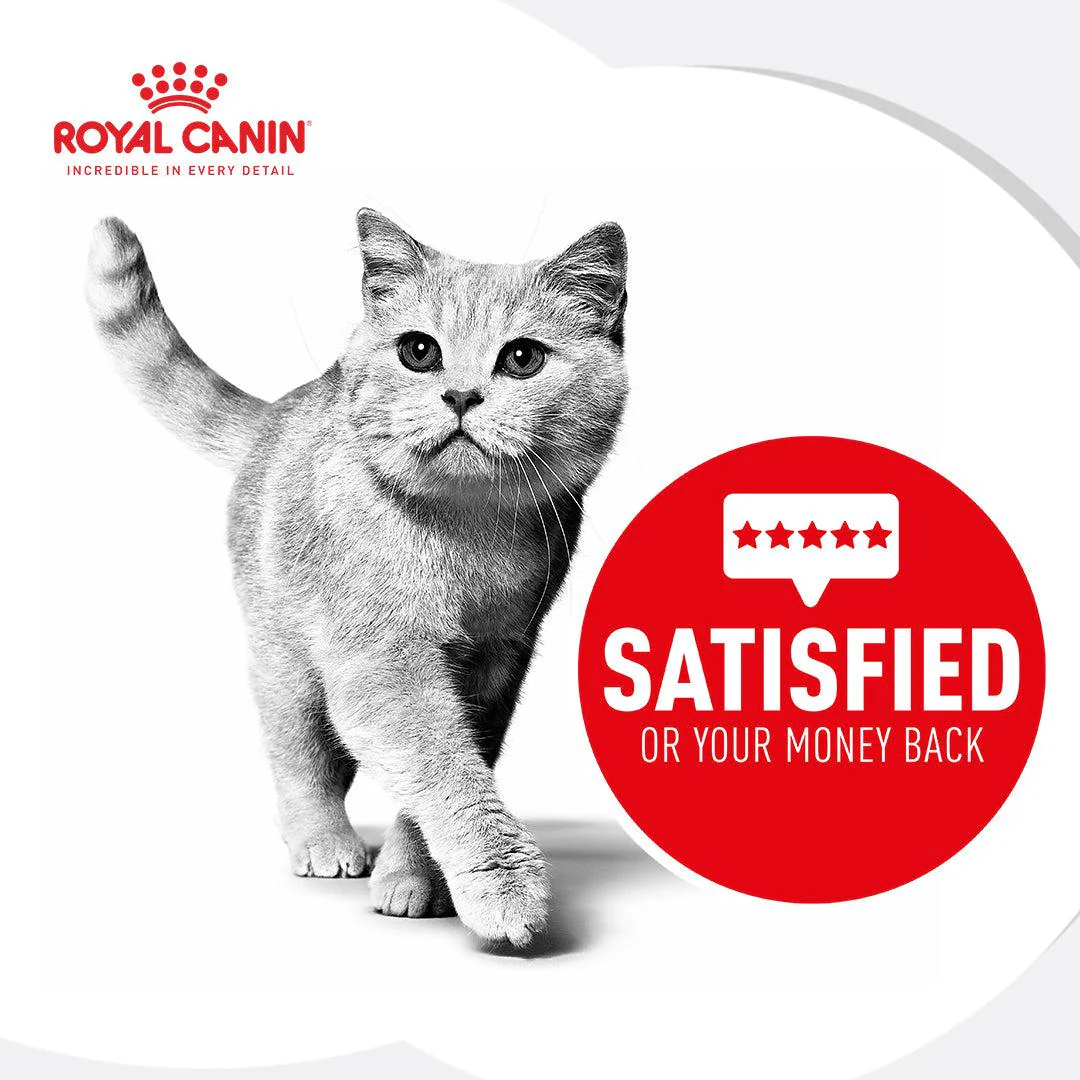 Royal Canin Expert Calm Dry Cat Food - Image 7