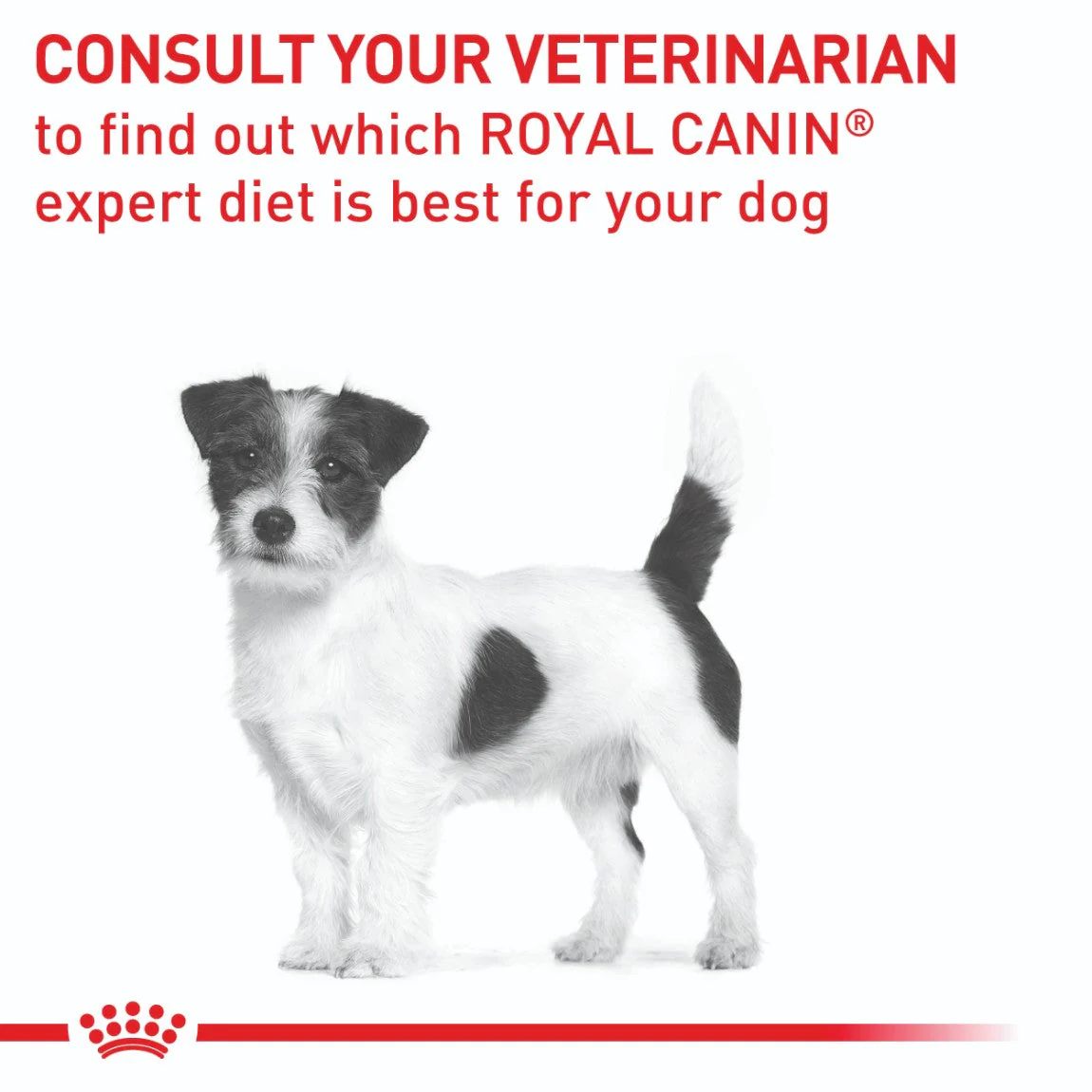 Royal Canin Expert Calm Dry Dog Food - Image 16