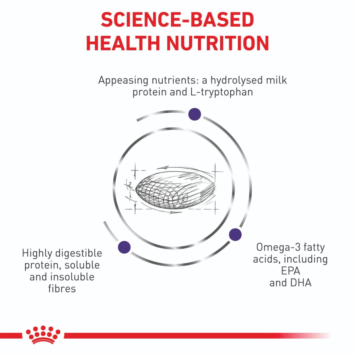 Royal Canin Expert Calm Dry Dog Food - Image 3