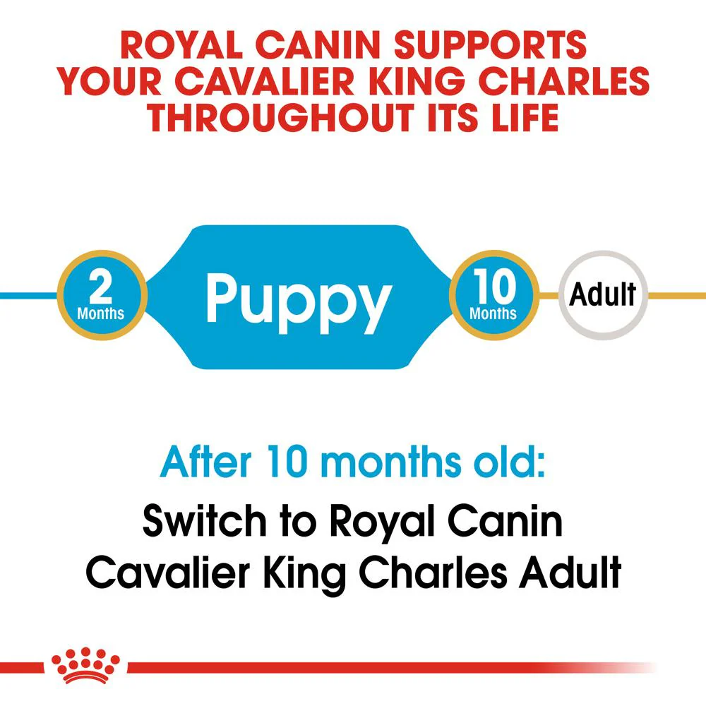Royal Canin Cavalier King Charles Puppy Dry Dog Food 1.5kg - Image 3