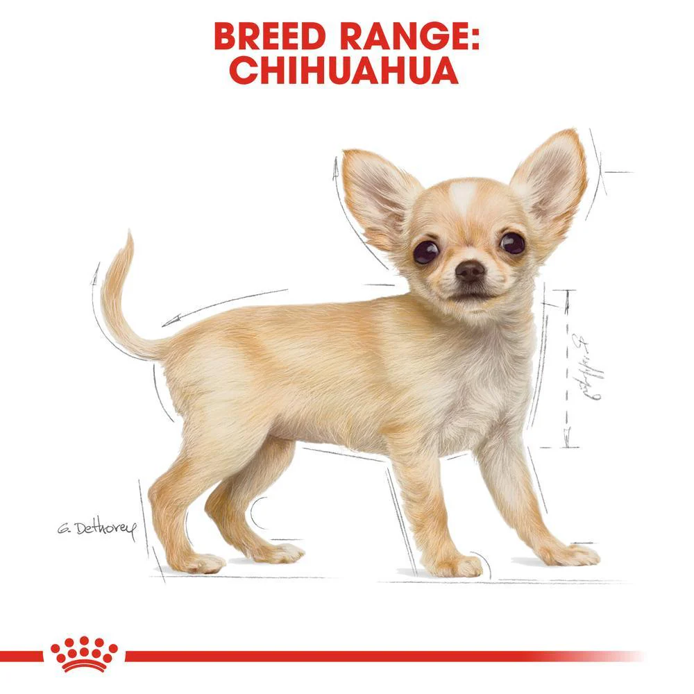 Royal Canin Chihuahua Puppy Dry Dog Food 1.5kg - Image 5