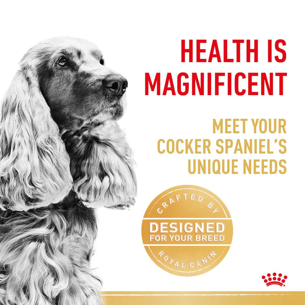 Royal Canin Cocker Spaniel Adult Dry Dog Food - Image 11
