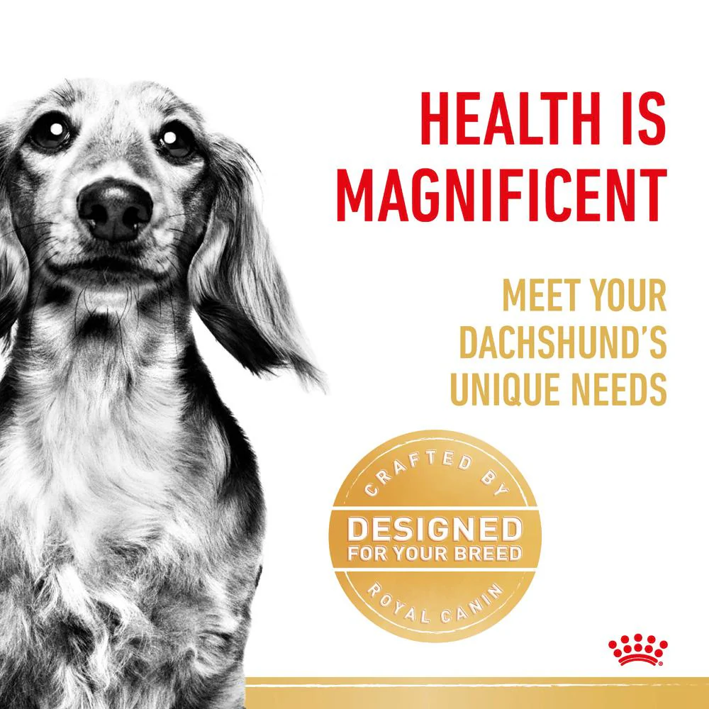 Royal Canin Dachshund Adult Dry Dog Food - Image 4