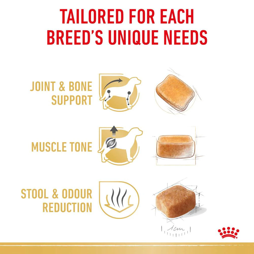 Royal Canin Dachshund Adult Dry Dog Food - Image 7