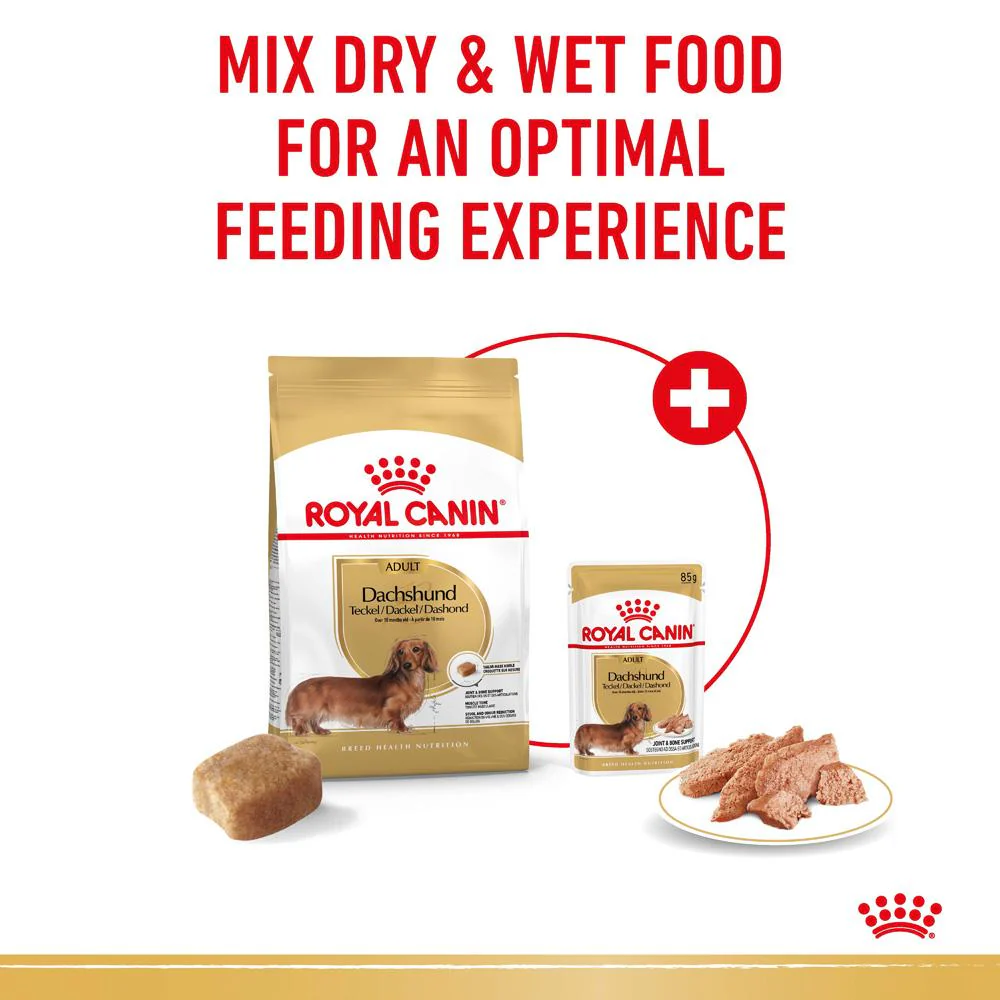 Royal Canin Dachshund Adult Dry Dog Food - Image 8